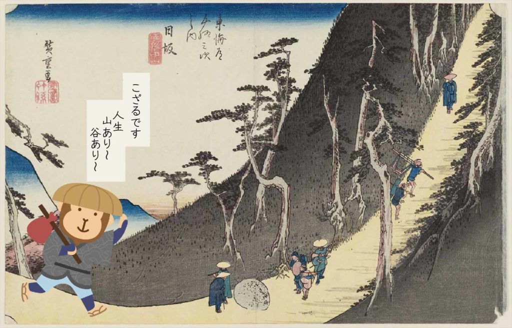 こざるのプロフィール 医ケアのこざる 道中記